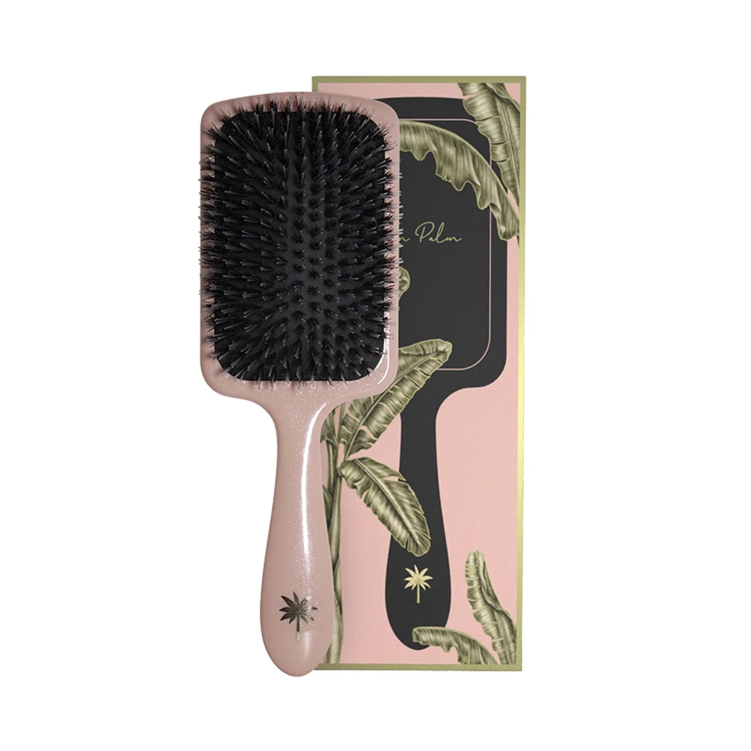 Fan Palm Paddle Brush Double Bloom  - Large